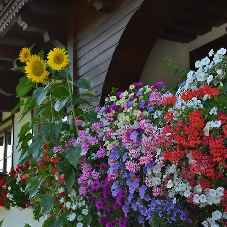 Gasthof Haus Thurner