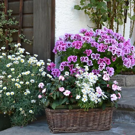 Haus Thurner Гостевой дом 3*